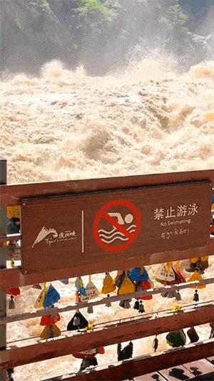 今天在老婆包里发现的,她说是治牙疼的,我觉得不像啊。