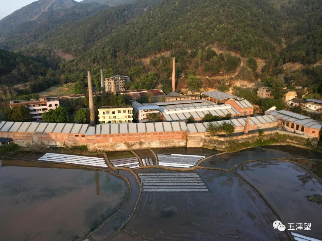 重庆有名的山庄,重庆比较出名的山庄