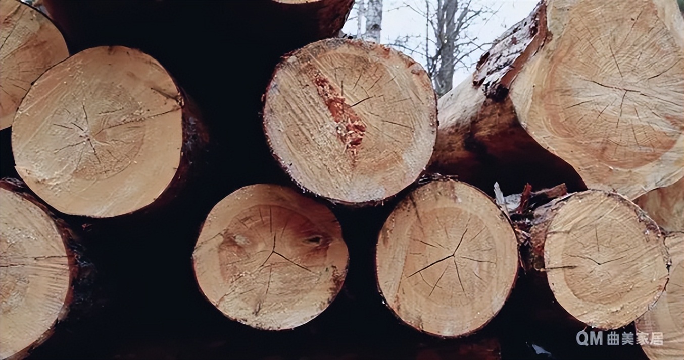 家具非实木,家具不应该买的