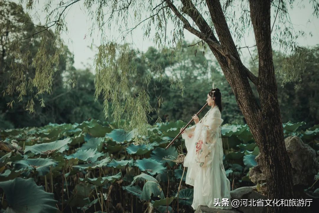 谷雨润百谷万物皆可期,有关谷雨的精选诗句大全