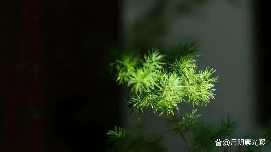 外汇投资的正确方法和技巧,外汇黄金投资最佳方法