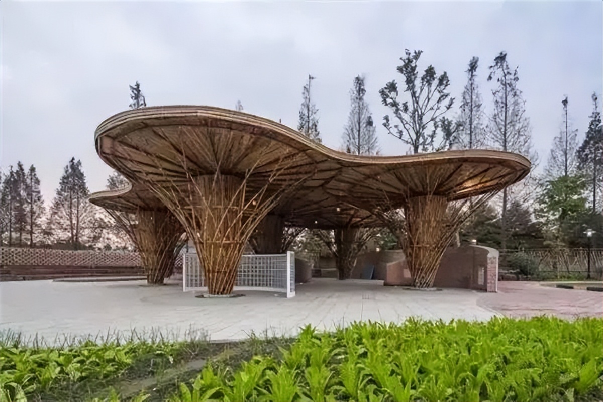 中国乡村改造项目,国内最成功的乡村改造案例