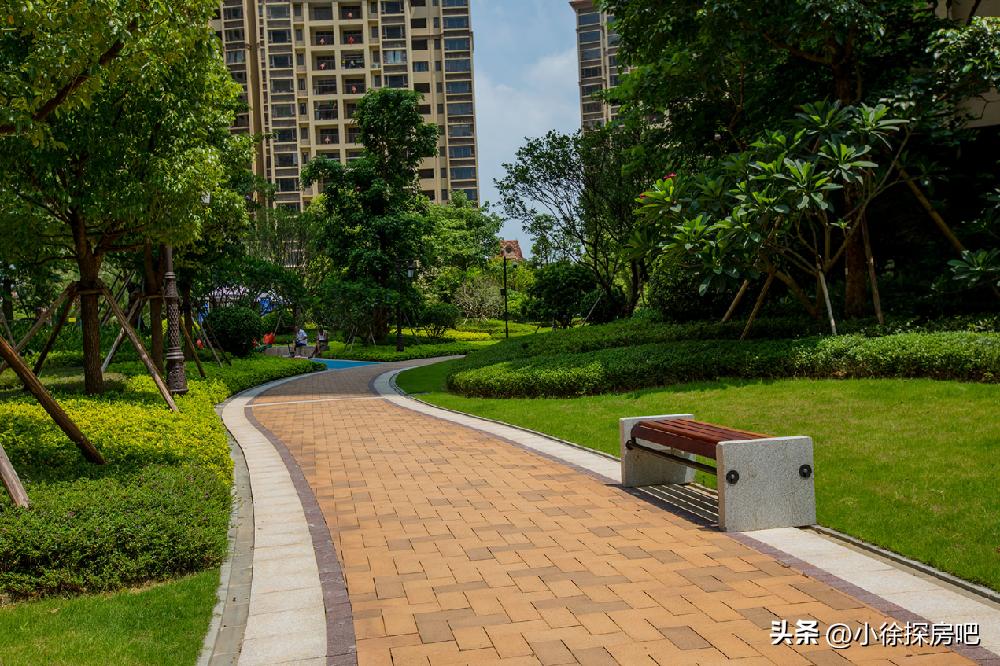 临深龙光城最好的楼盘,临深龙光城都是深圳人在买吗