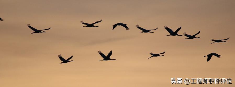 中级建筑师职称评定工作业绩总结,中级经济师工作总结及业绩成果