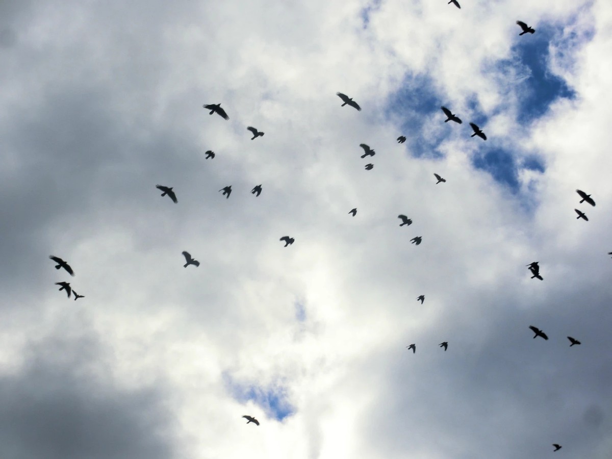 金秋时节登山视频,金秋登太行免费完整版