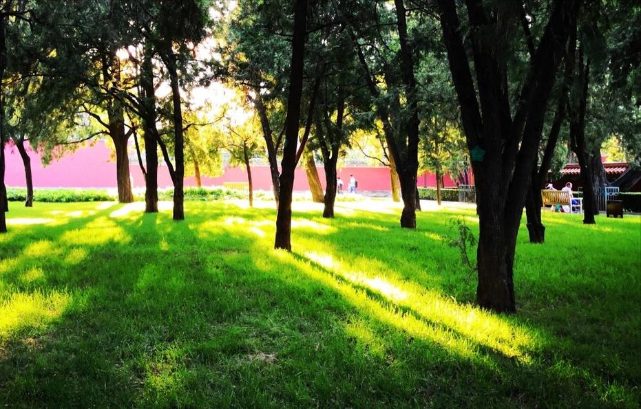 品名家著作，游生命之旅——《史铁生散文精选》读书笔记