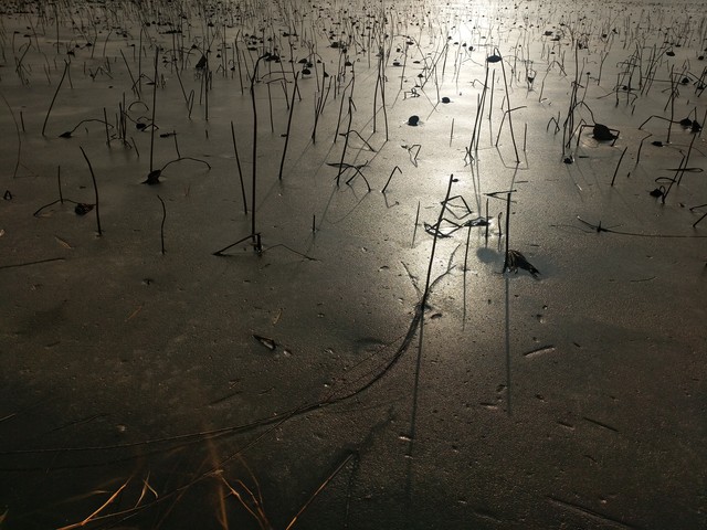 明年是癸卯年又闰二月，农谚：“冷在三九”，最冷三九从哪天开始