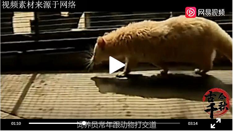 江西老农活捉六不像神兽,江西老汉活捉神兽四不像