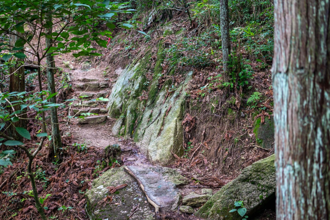天柱沟大峡谷玩水,天柱附近玩水