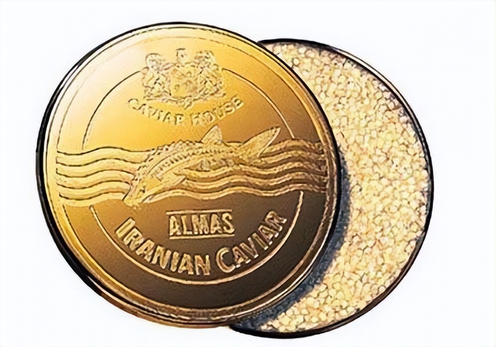 世界上最昂贵的的10样东西,世界上最昂贵的15件东西