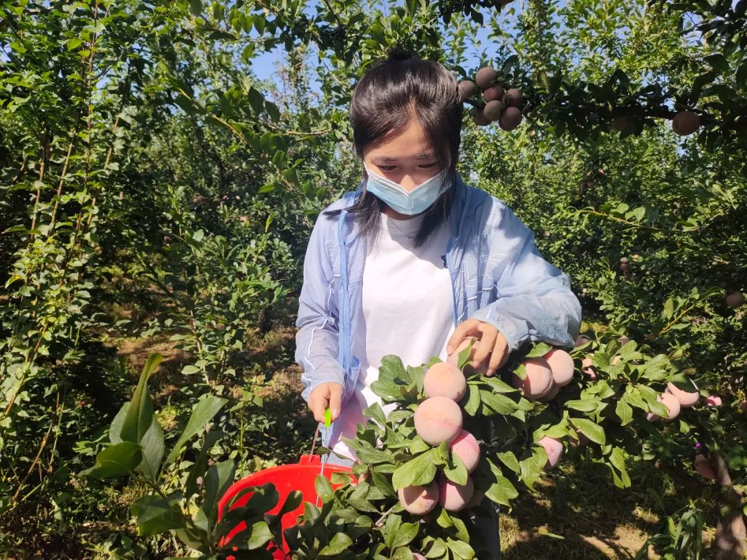 闇嶅皵鏋滄柉甯備紛杞﹀槑鍠勯敗浼埂,闇嶅皵鏋滄柉甯備紛杞﹀槑鍠勯敗浼皯鏃忎埂