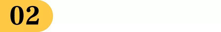 最有前景的职业规划,职业优势和定位