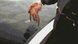 神回复有深度的话,神回复的意思