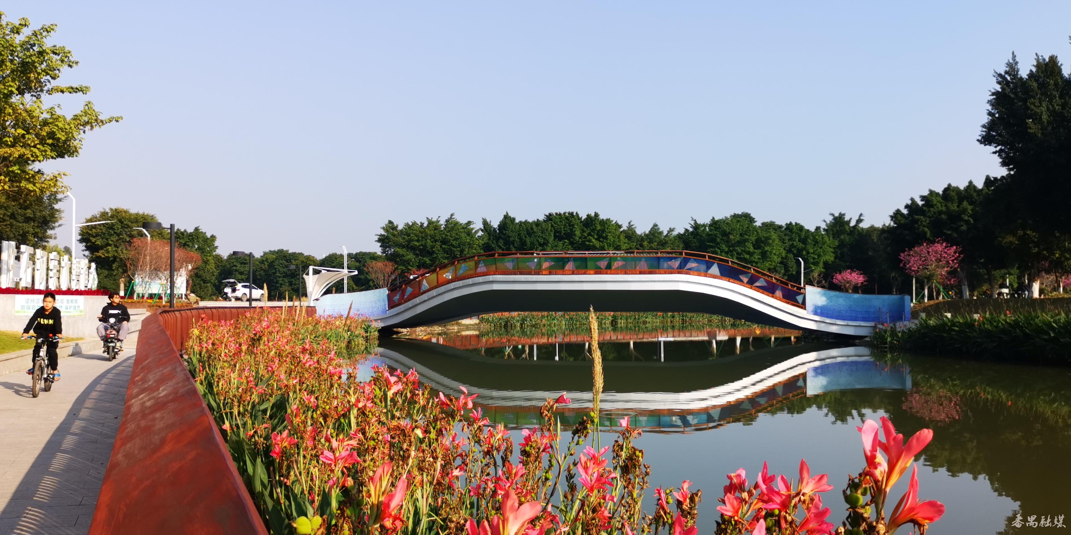 一脉碧水,两岸碧道!番禺钟村街胜石河周边美翻了