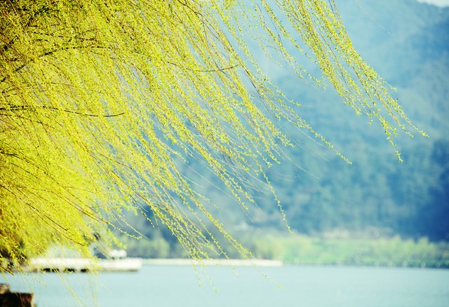 胸闷气短失眠盗汗,胸闷气虚盗汗