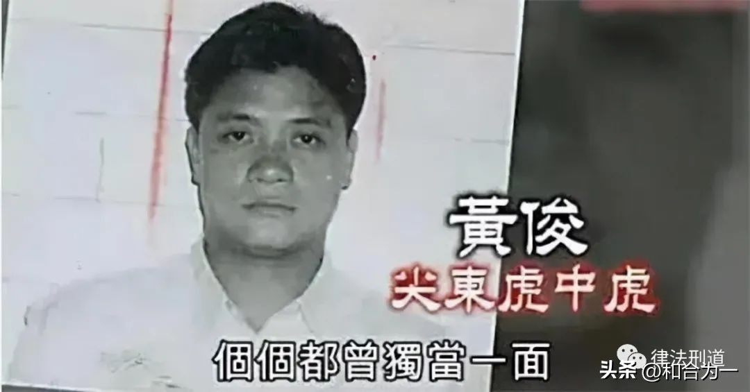 鏂颁箟瀹変簲铏庡崄鏉版湁鍝簺,鏂颁箟瀹変簲铏庡崄鏉扮湡浜虹収