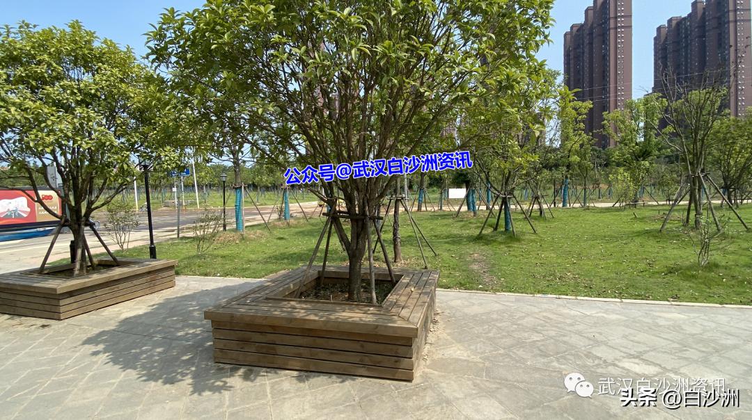 遗憾！青菱红霞游园不能建设足球场