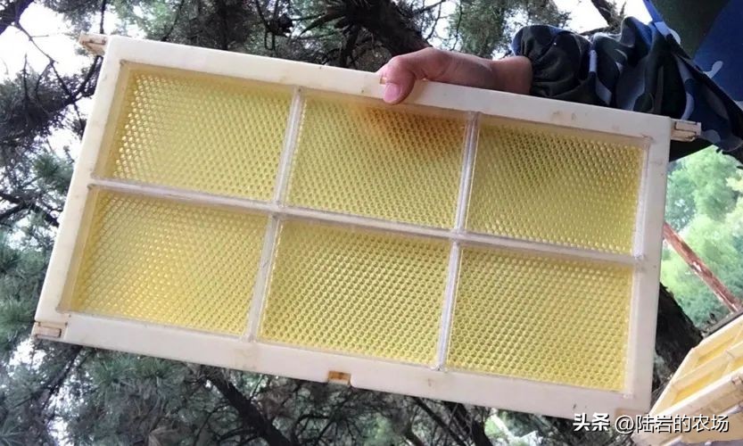 盘点市面五种常见蜂巢