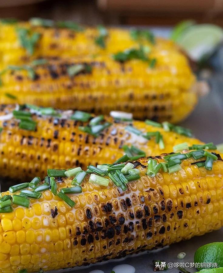 探寻世界各国烧烤的独特风味,世界各国特色烧烤