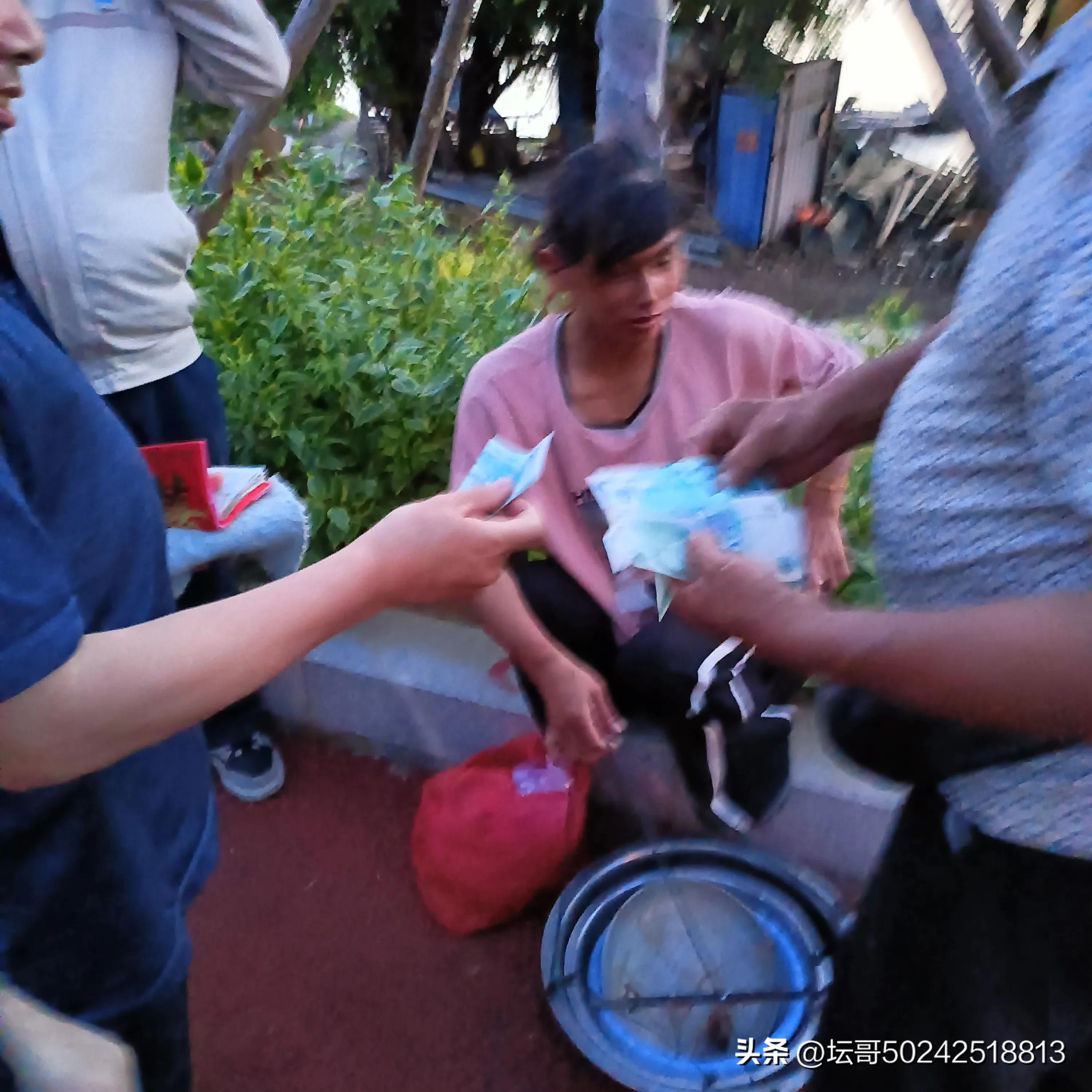 赛岐凤尾鱼价格,赛岐凤尾鱼