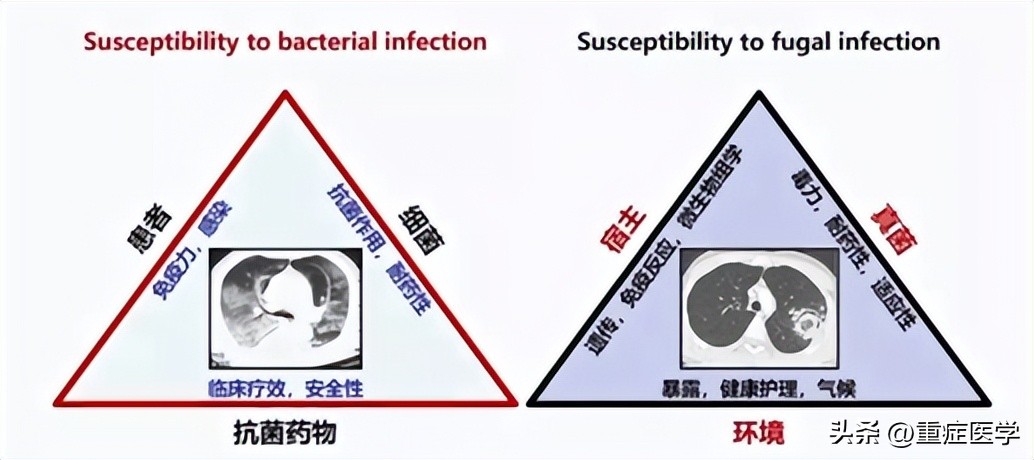 施毅最新讲座视频,施毅医生怎么样