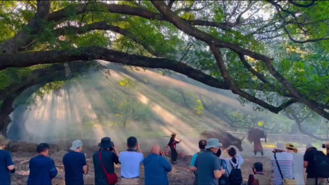 农民扮演农民？畲族模特每个动作定格3秒循环往复，150元可得乡村风赶鹅图