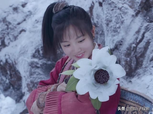 镜双城白璎和苏摩最后的结局,镜双城苏摩和白璎的结局