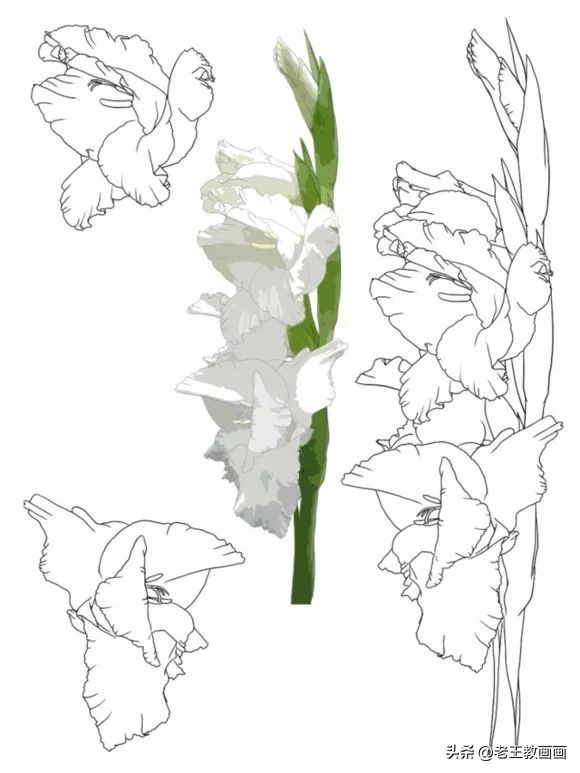 100种绘画基础入门,100幅零基础绘画教程