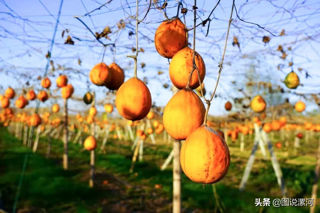 获奖摄影比赛作品,摄影比赛获奖名单公示