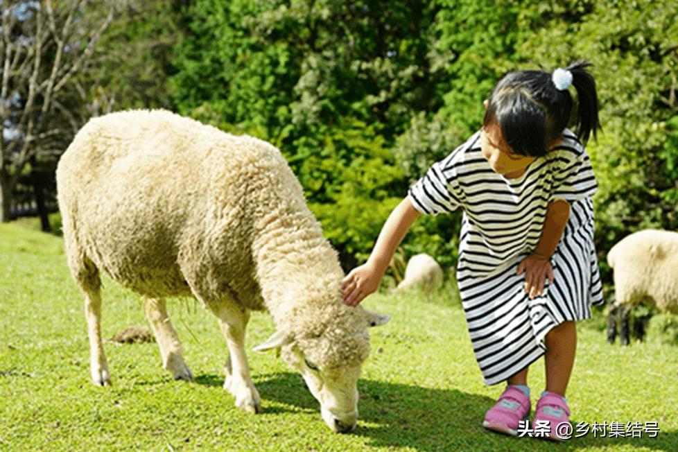 关西六甲山牧场在哪里,六甲山牧场门票多少钱