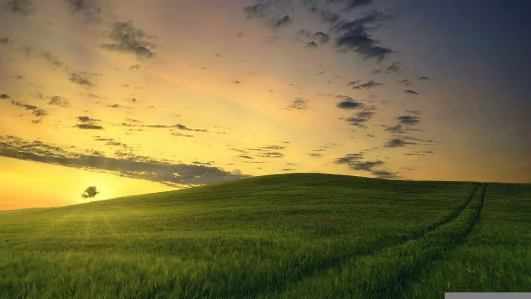 诗经中的绝美句子及情感,诗经的情感之美