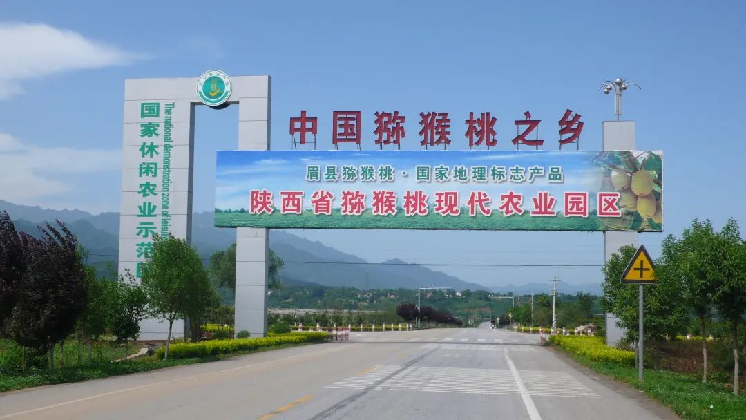 眉县猕猴桃品牌价值达161亿,眉县猕猴桃入选中国地理标志