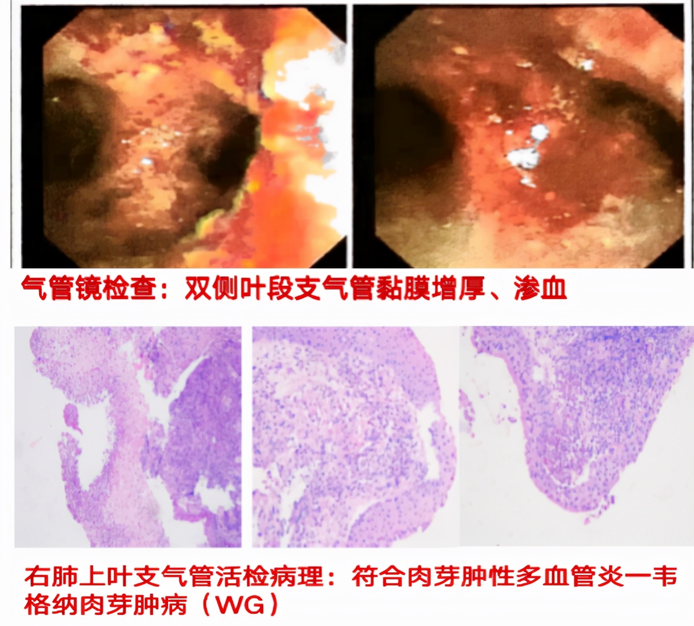 仁心妙术播撒光明,仁心妙术