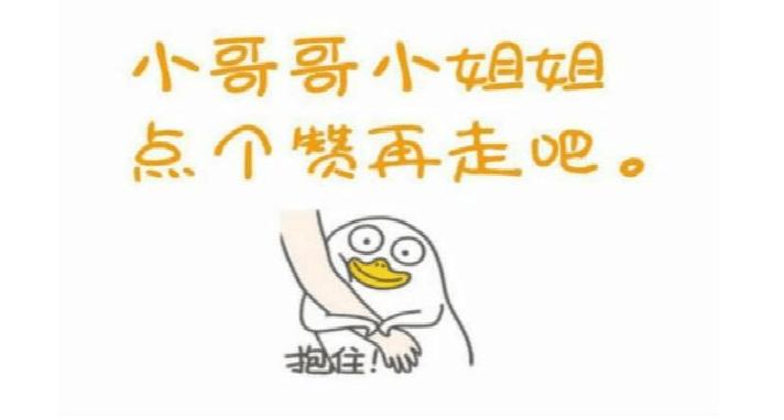 亲身经历养秋田犬,为啥不建议养秋田犬