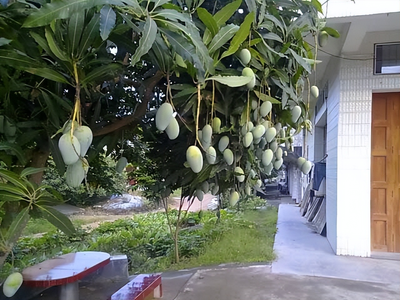 公务员报考海关必选政治吗,海关公务员报考条件专业