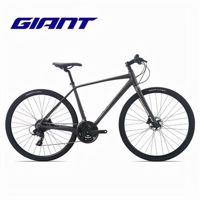 2022年全球自行车十大品牌,2024年自行车品牌十大排名榜