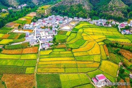 湖北省襄阳保康县乡村振兴试点,保康美丽乡村