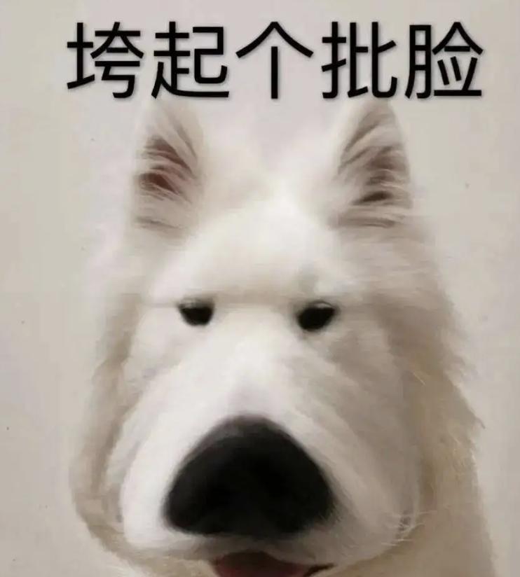 康奈尔大学ee硕士,康奈尔大学留学详解