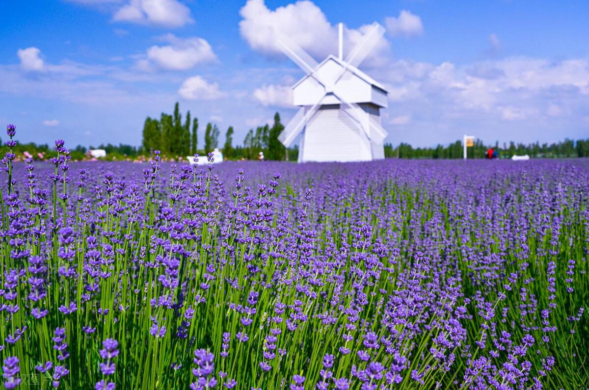中国最值得去的100个地方是哪里,中国值得去的10个绝美旅行地