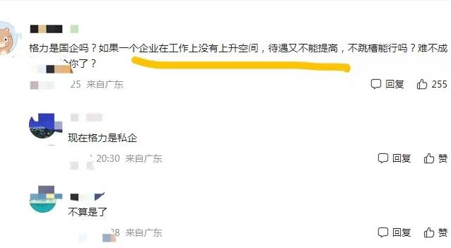 董明珠讲述用人之道,董明珠的用人观带来的启示