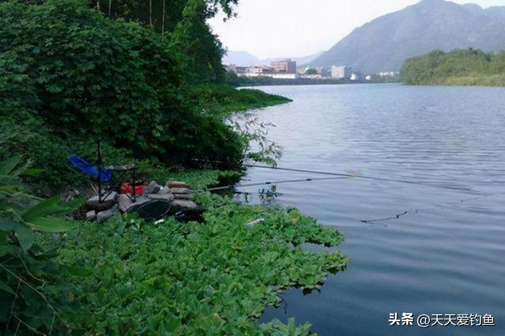 夏季钓鱼的几个技巧,冬季钓鱼注意这几点也能渔获满满