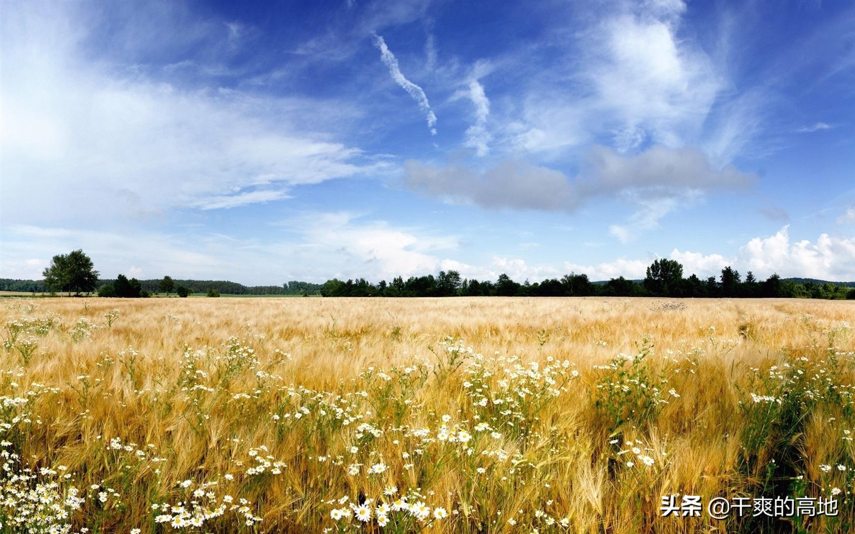 散文｜李沛新：瘦父如山