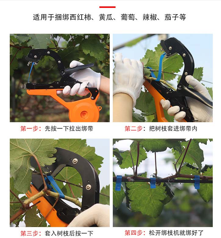 蔬菜绑枝机,蔬菜捆枝器