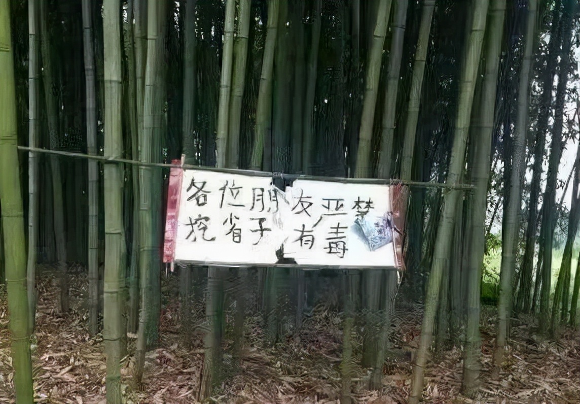 自带音效的句子,自带音效文字