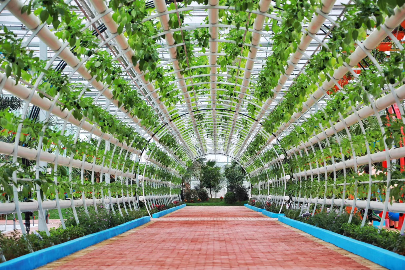 赓续改革开放精气神,赓续老黄牛精神奋斗新时代