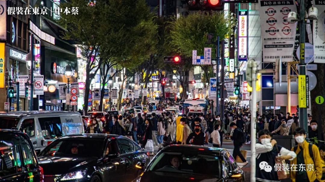 365张照片回顾,365张相片