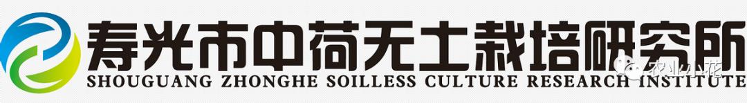 贝贝南瓜盆栽,日本绿贝贝南瓜盆栽教程视频