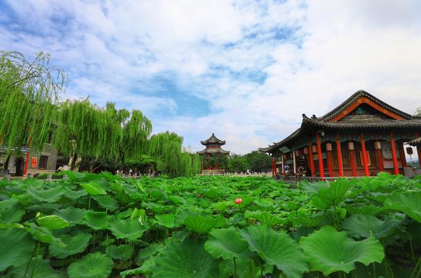 美爆了济南这些地方成网红打卡地,2019年济南网红打卡地瀑布树林