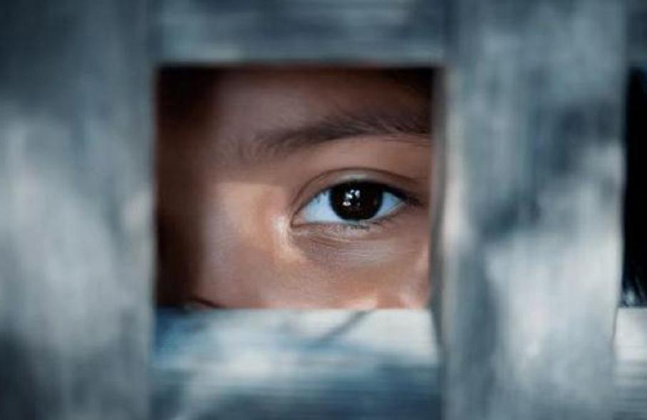 鑽峰叞鍚堟硶鍖栫殑娲诲姩,鑽峰叞鎬у悎娉曞寲