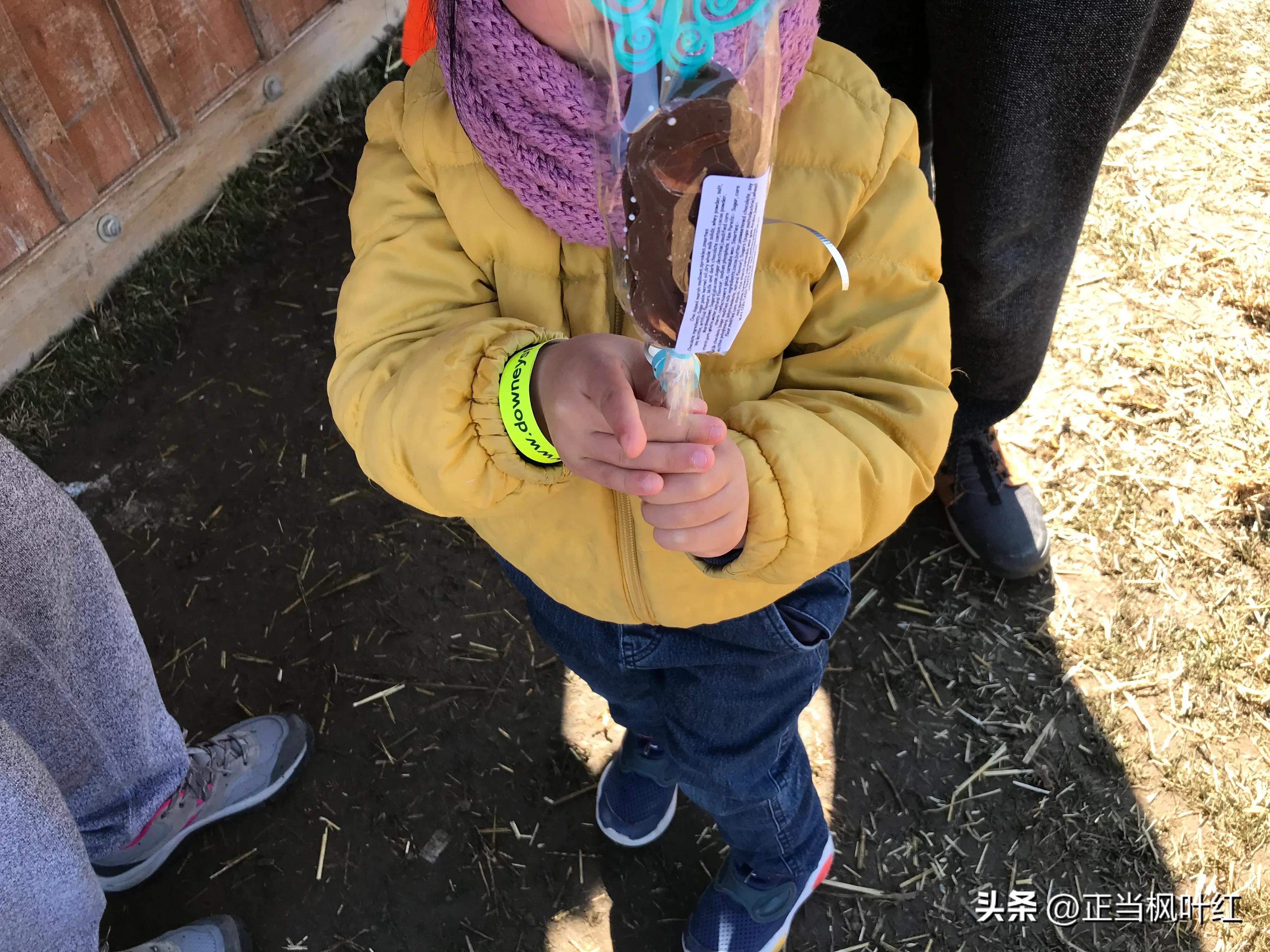 中国姥姥回国,中国姥姥真实一天视频